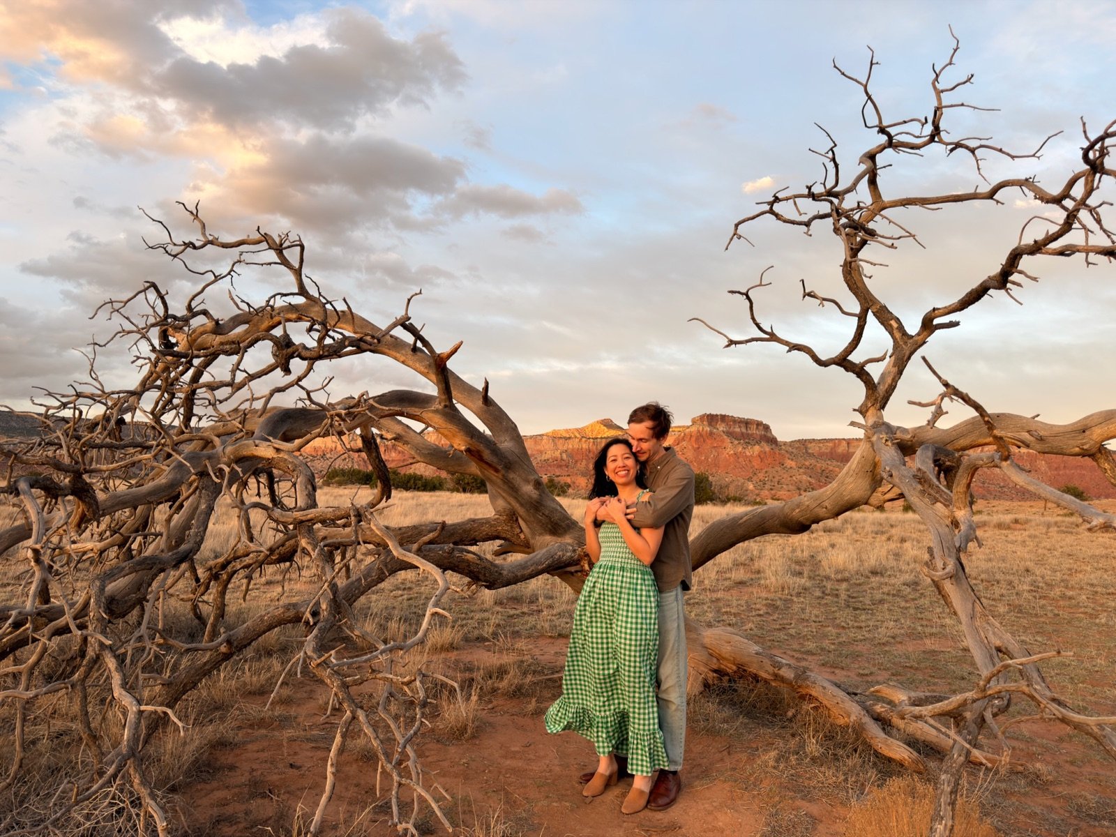 Michie & Charlie framed by a dead tree at Ghost Ranch