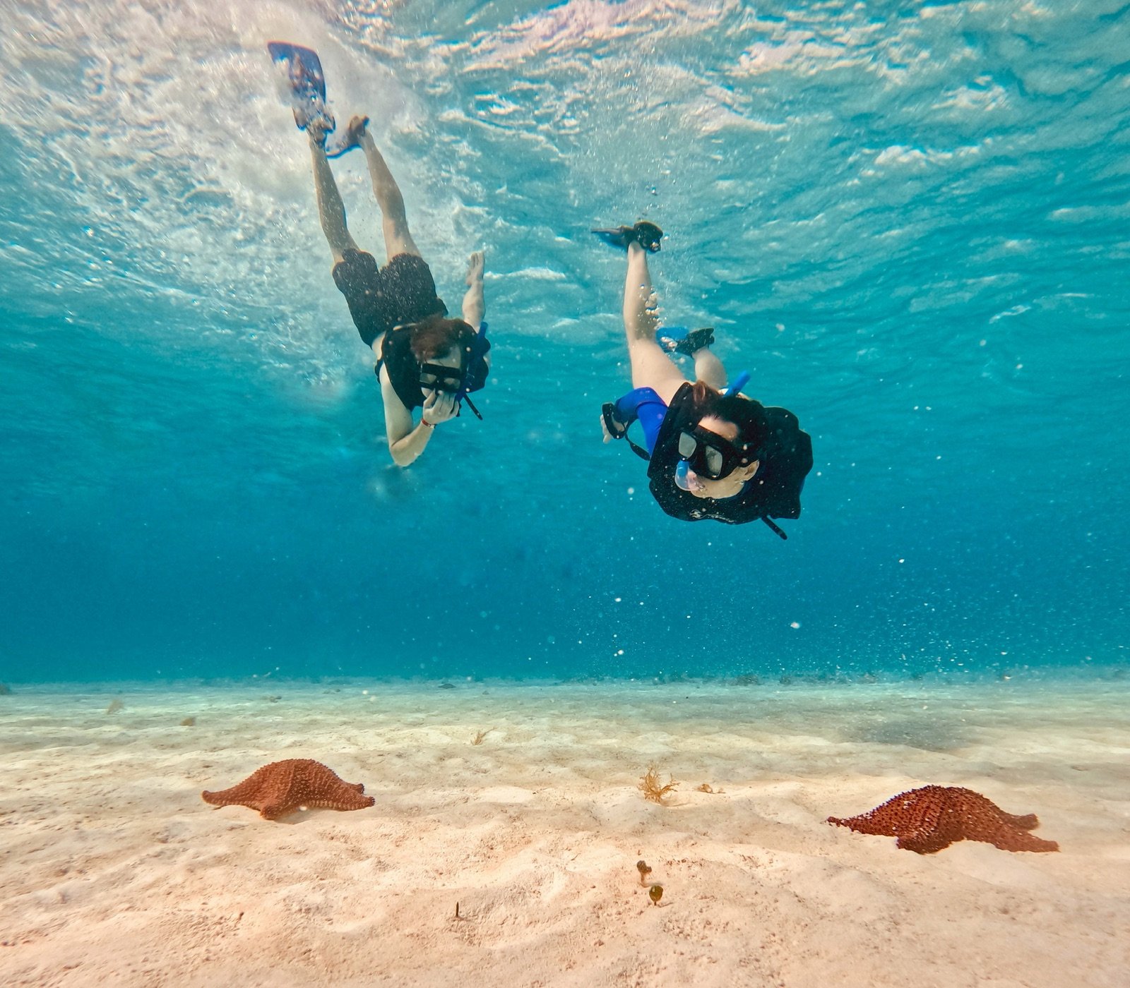 Michie & Charlie snorkeling over starfish